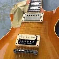 No 9 Esp Navigator N Lp 380ltd Guitars 横山 健 Ken Yokoyama Ken Band Official Site