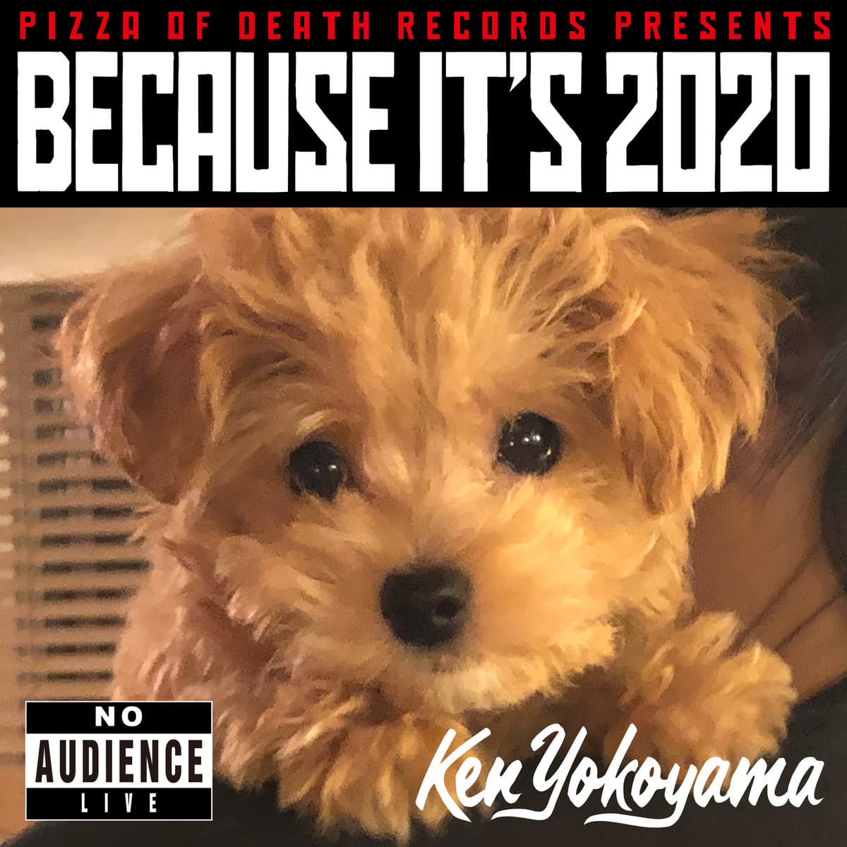 BECAUSE IT'S 2020 | Ken Yokoyama(Band) OFFICIAL SITE