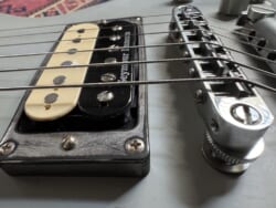 No.44 ESP TRUCKSTER Gray “James Hetfield Signature”
